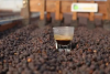 THE ESPRESSO MỞ BÁN CÀ PHÊ ĐẶC SẢN ROBUSTA TRÊN TOÀN HỆ THỐNG
