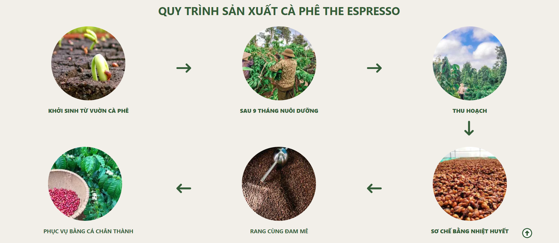 quy trinh san xuat cfe